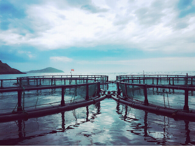 _ݴꐍuһokĵط