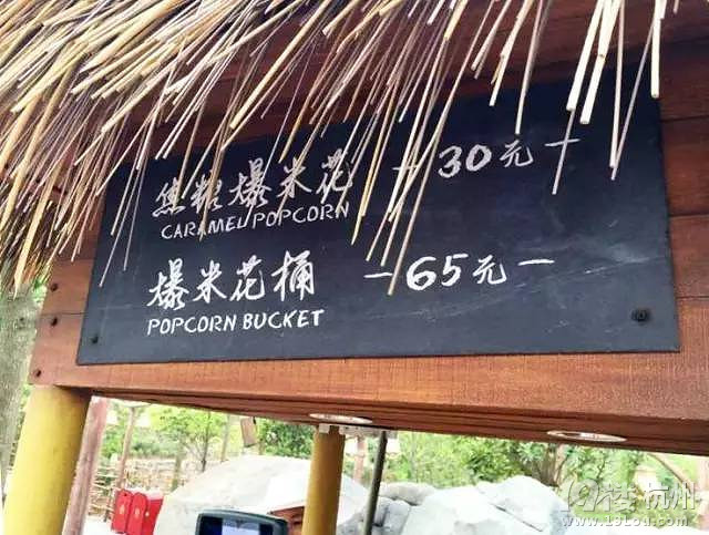 第一批體驗上海迪士尼的人，據(jù)說都已哭暈回不來了...