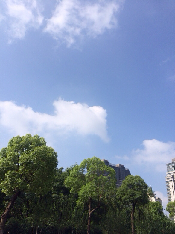 有人说,大雨过后,有两种人,一种人抬头看_随手