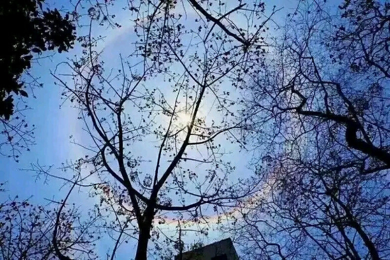 這圈圈維持一兩小時了