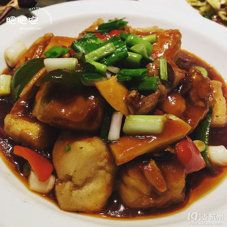 Hello，2016~肥肥安的食月食日（夏季篇）