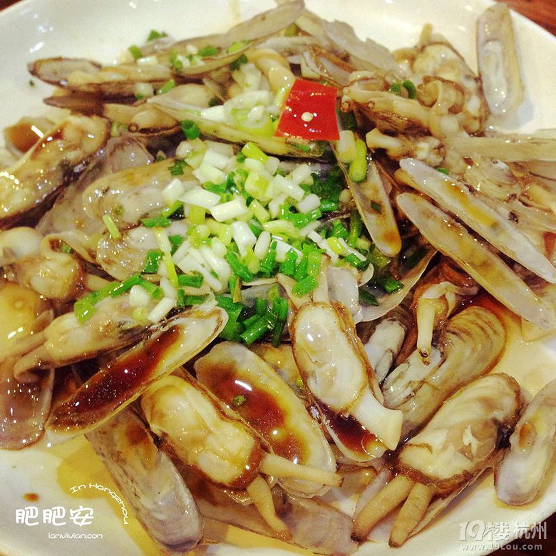 Hello，2016~肥肥安的食月食日（夏季篇）