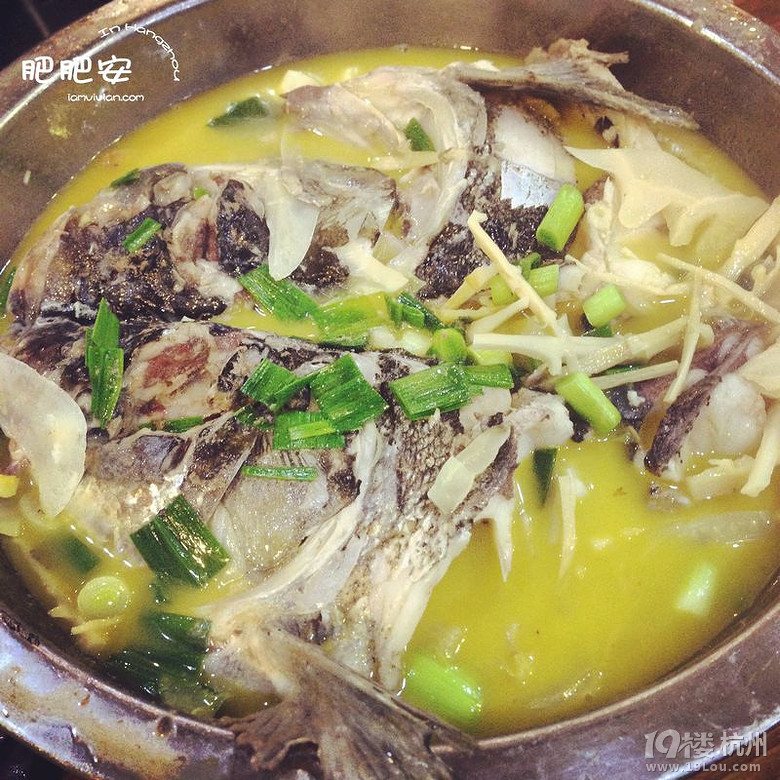 Hello，2016~肥肥安的食月食日（夏季篇）