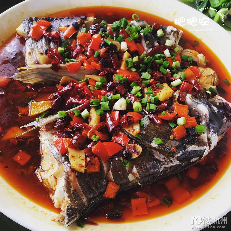 Hello，2016~肥肥安的食月食日（夏季篇）