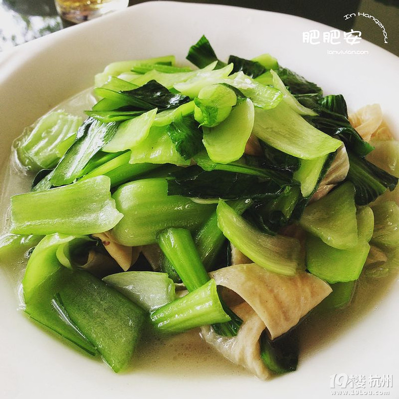 Hello，2016~肥肥安的食月食日（夏季篇）