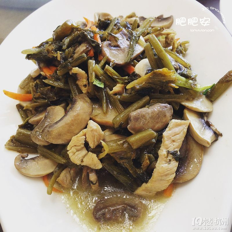 Hello，2016~肥肥安的食月食日（夏季篇）