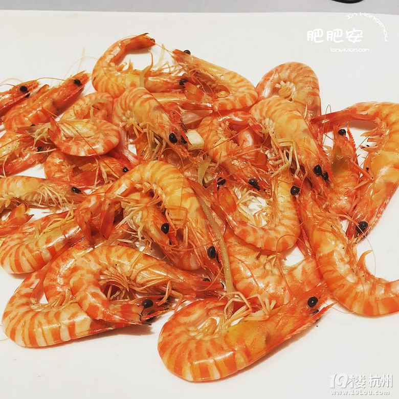 Hello，2016~肥肥安的食月食日（夏季篇）