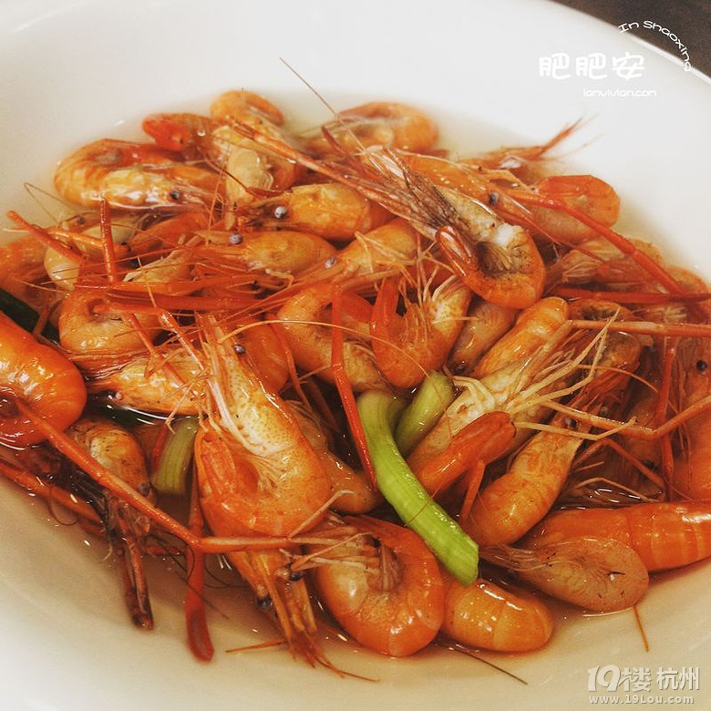 Hello，2016~肥肥安的食月食日（夏季篇）