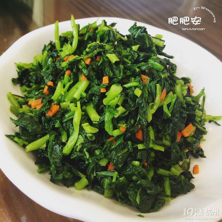 Hello，2016~肥肥安的食月食日（夏季篇）