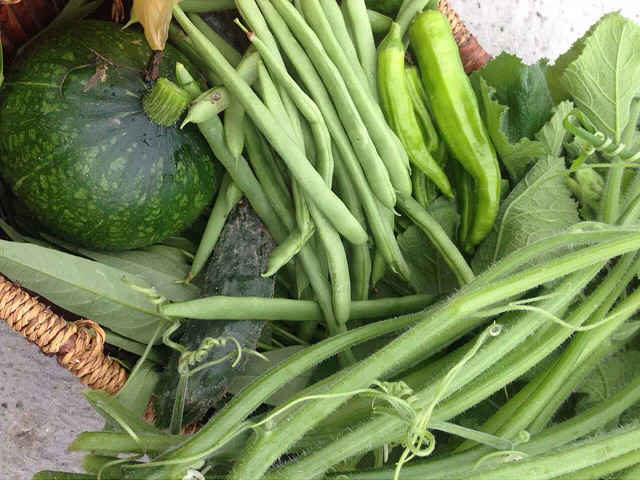 《楚家私房菜》系列之一百八十九：油炸南瓜