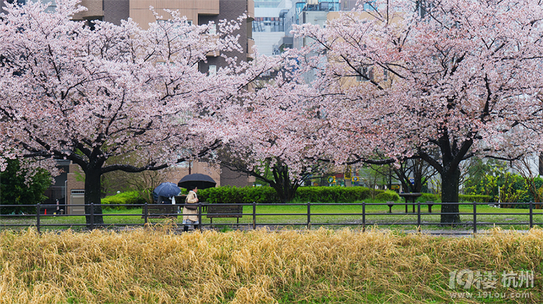 【初夏出行】+帶XML去旅行之日本關(guān)東