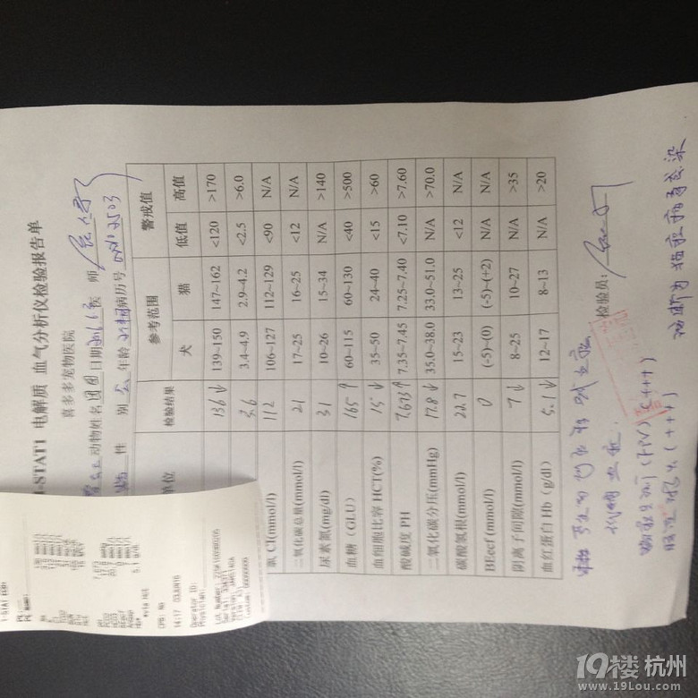 想買(mǎi)寵物貓的要小心蕭山黨灣的女騙子！ 之前19樓上也曝光過(guò)！