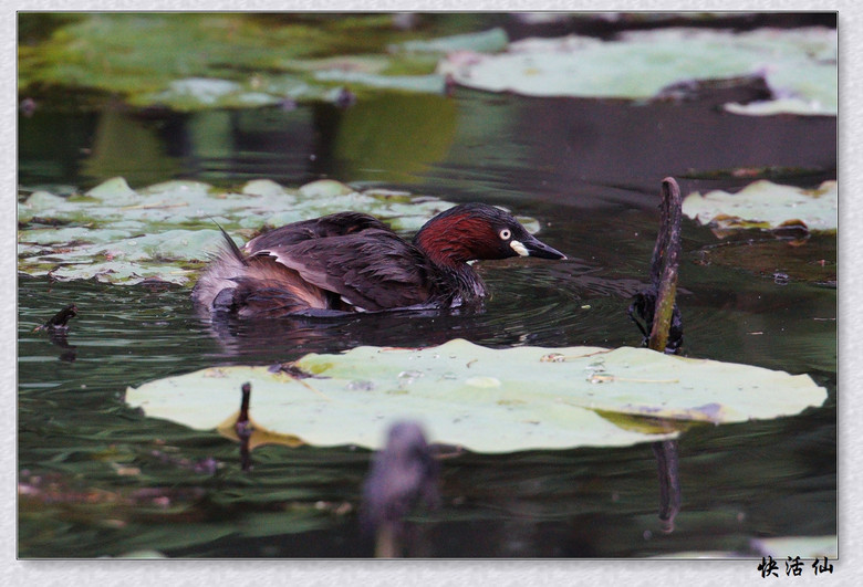 BУСƪ---ԺLɹ@СGfķֳ֮