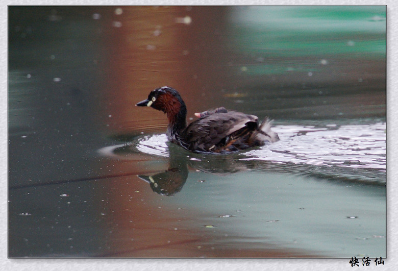 BУСƪ---ԺLɹ@СGfķֳ֮