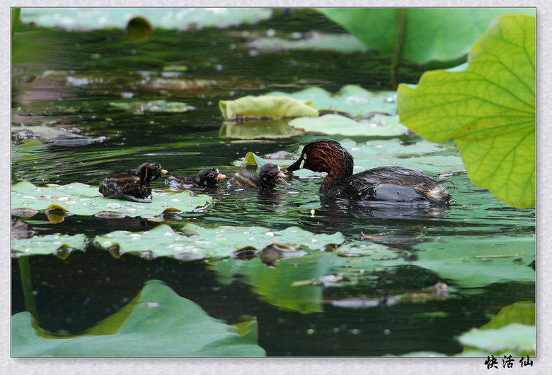 BУСƪ---ԺLɹ@СGfķֳ֮