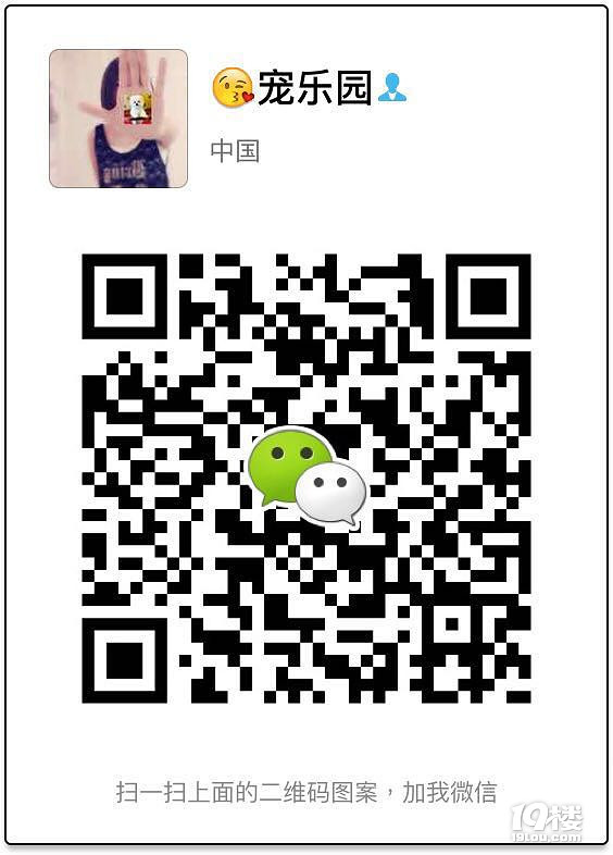 沈阳哪里卖萨摩便宜沈阳哪里卖萨摩沈阳萨摩多少钱一只