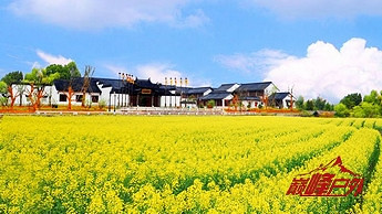 CS 浽