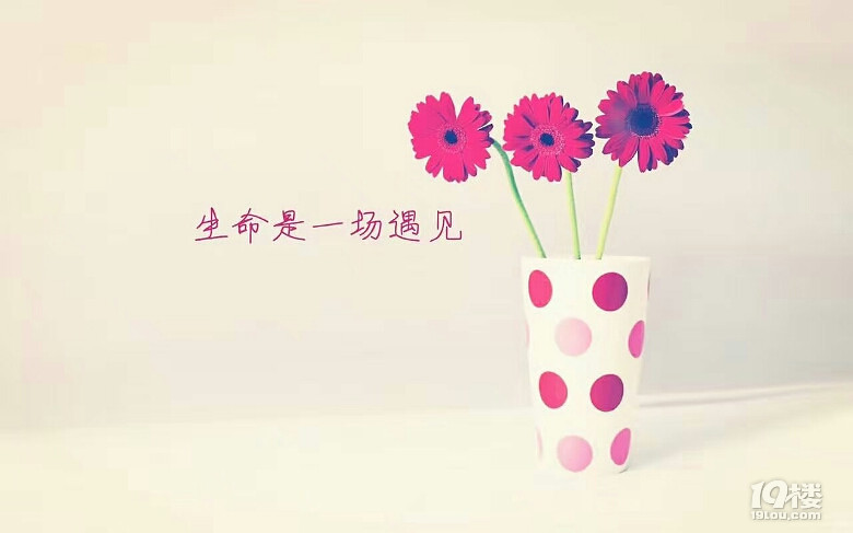 8月31日飛曼谷，6日回。找小伙伴一起玩耍