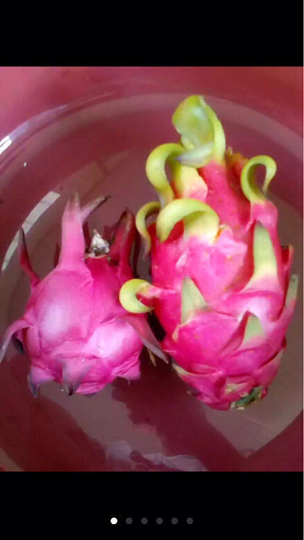 自家红心火龙果!不甜不要钱有需要联系我