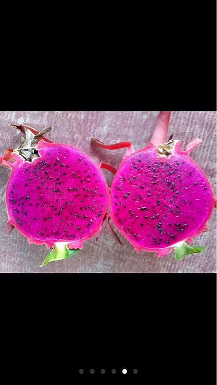 自家红心火龙果!不甜不要钱有需要联系我