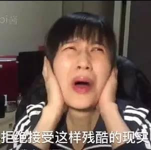 雪姨开门呐迎来终极结局,傅文佩原来你是一只