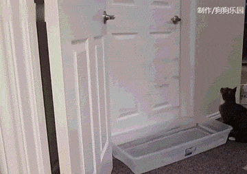 如果你家里的喵会开房间门,会是什么样的体验?_图2