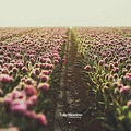 ŏDƬИ(bio)}