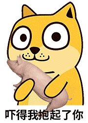 吓得我抱起了你(doge.jpg)_表情包集合地__杭州19楼