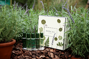 ҷȤ  The Herb Gardenݻ@Ӣϵ