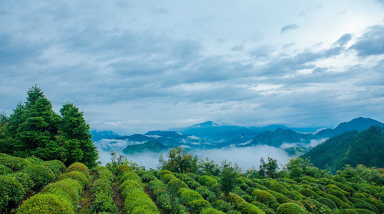 【中秋情懷】歙縣坡山天然氧吧