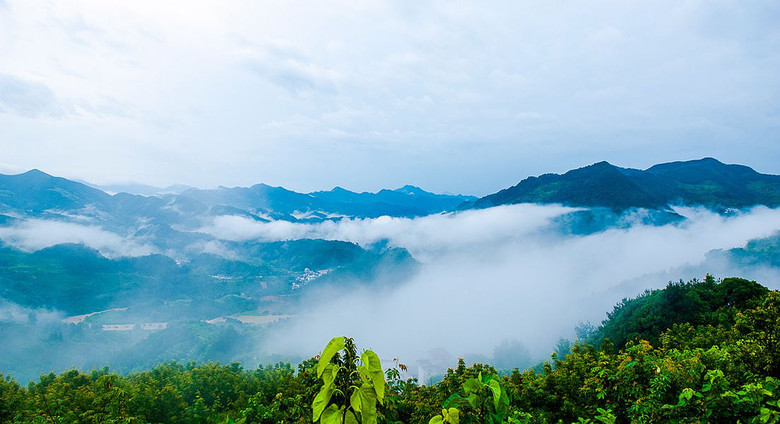 【中秋情懷】歙縣坡山天然氧吧
