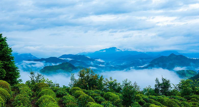 【中秋情懷】歙縣坡山天然氧吧
