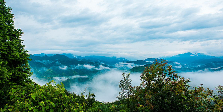 【中秋情懷】歙縣坡山天然氧吧
