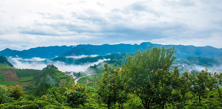 【中秋情懷】歙縣坡山天然氧吧