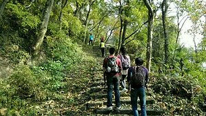 徒步虎跑南高峰