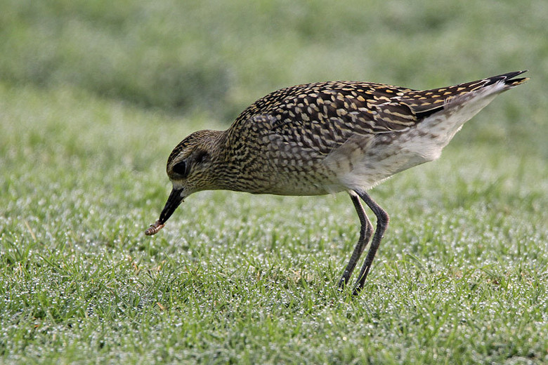 (yng)(ji)axСI(xin)o