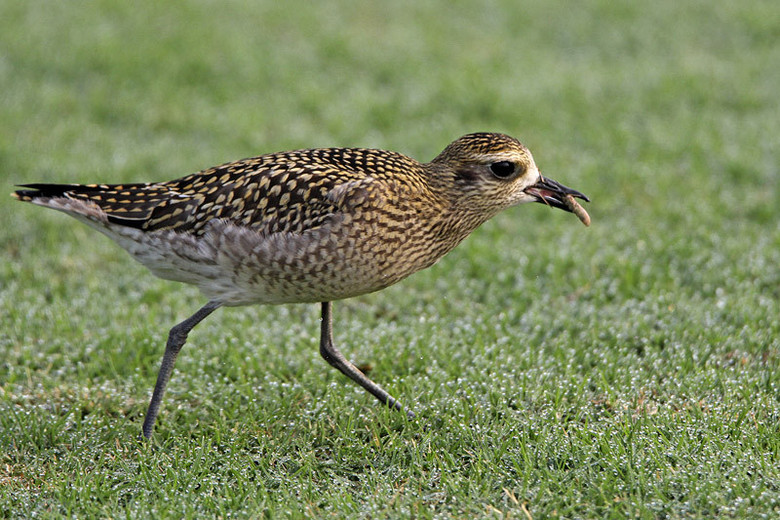 (yng)(ji)axСI(xin)o