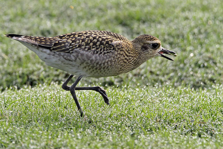 (yng)(ji)axСI(xin)o