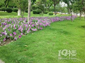 鎮(zhèn)海人民公園攻略 繁華的城市公園