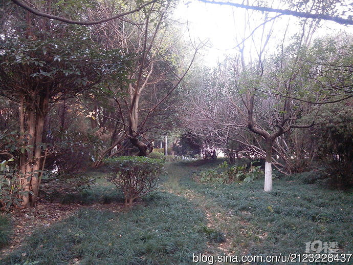 丹城公園攻略 這個(gè)公園有點(diǎn)美
