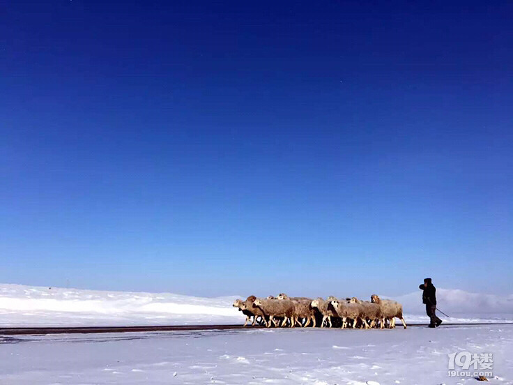 ȥO匤..ȥѩl(xing)^