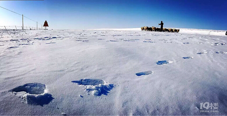 ȥO匤..ȥѩl(xing)^