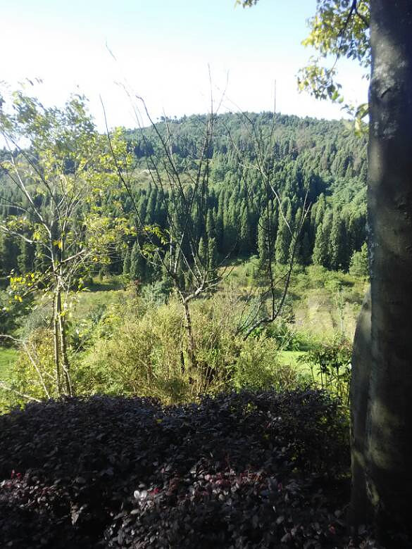 找不到女朋友的男同胞福利一起组团去云南买房