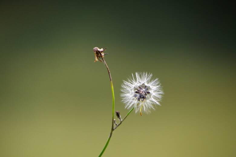 Ϫ·߅СС