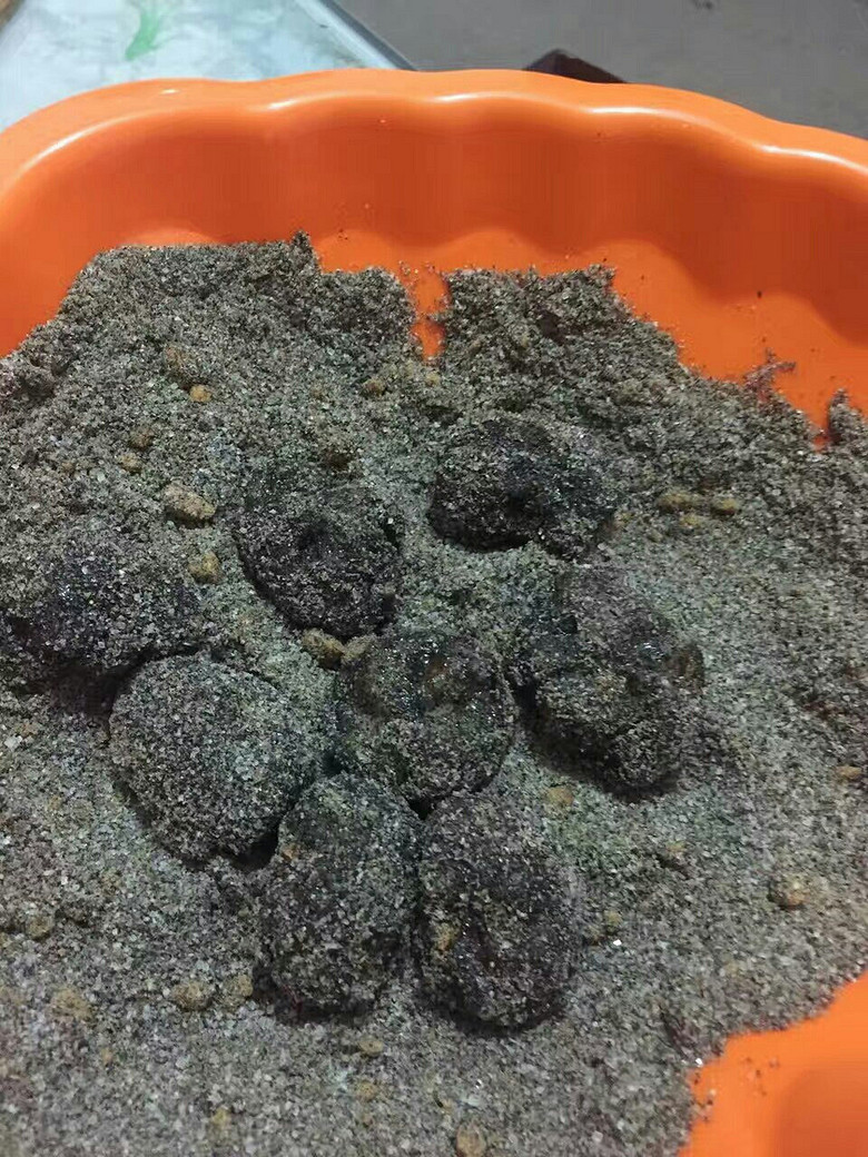 【最炫中国节】+过年想妈妈的味道_我的2017