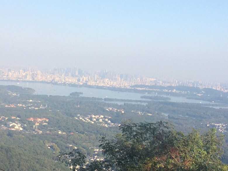 #你觉得今天的星座预测准吗?#11.22日双鱼座