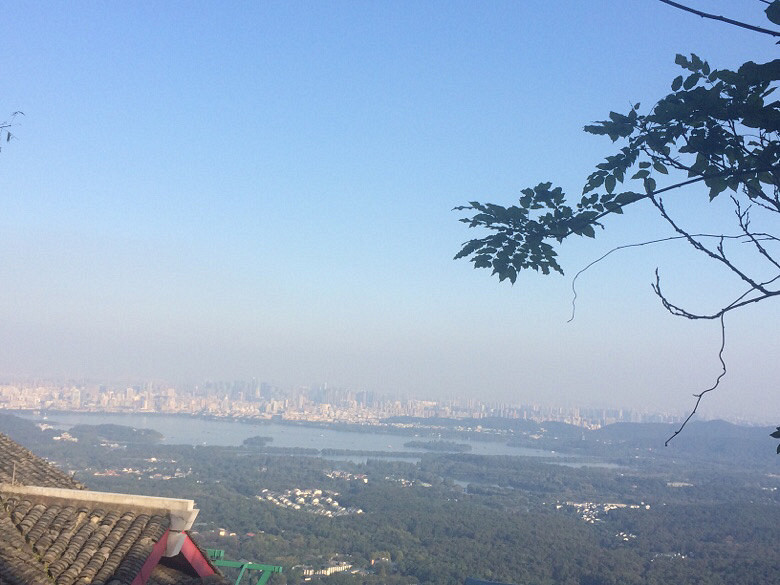 #你觉得今天的星座预测准吗?#11.22日双鱼座