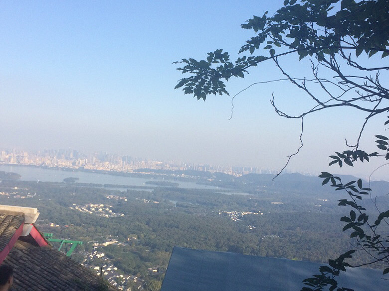 #你觉得今天的星座预测准吗?#11.22日双鱼座