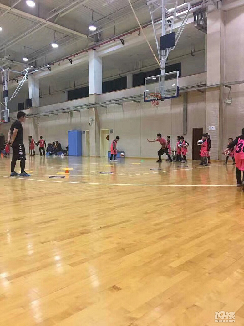 籃球夢第十七季