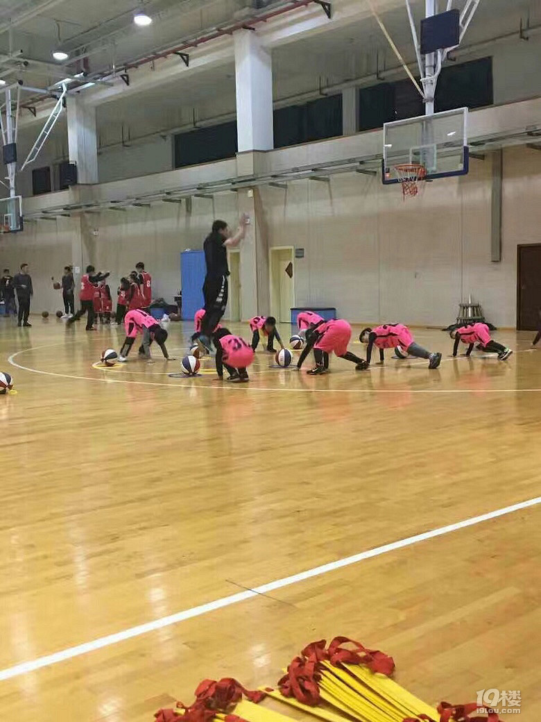 籃球夢第十七季